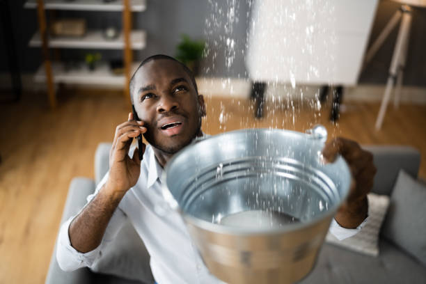 Best Water damage contractors near me  in Albemarle, NC