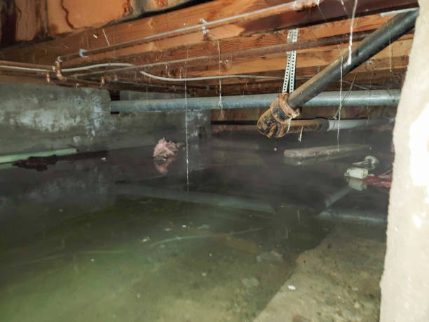 Best Commercial water damage restoration  in Albemarle, NC