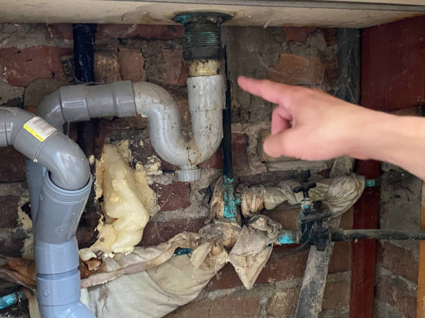 Best Water damage contractors near me  in Albemarle, NC