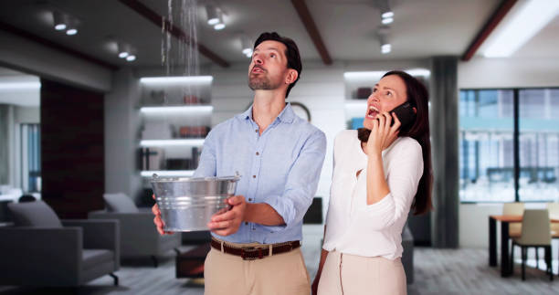 Best Basement water damage restoration  in Albemarle, NC