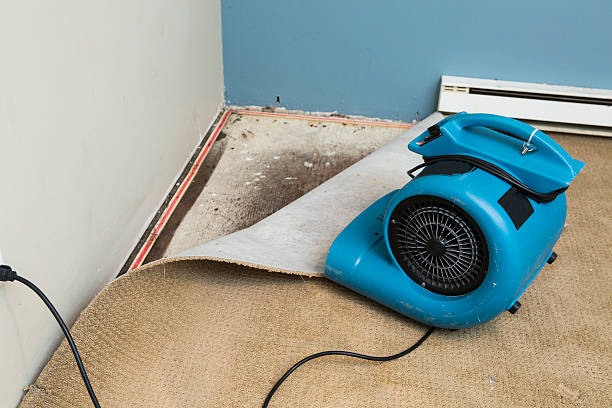 Best Residential water damage restoration  in Albemarle, NC
